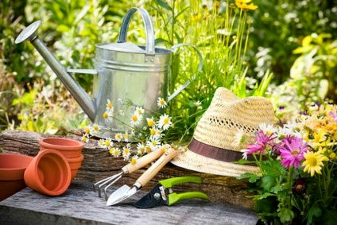 Les Meilleures Façons De Nettoyer Votre Jardin à La Fin De L'été